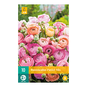 Ranunculus Pastel Mix - 10st - Bloembollen - JUB Holland